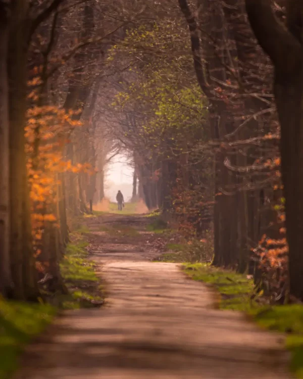 Onderweg door de herfst