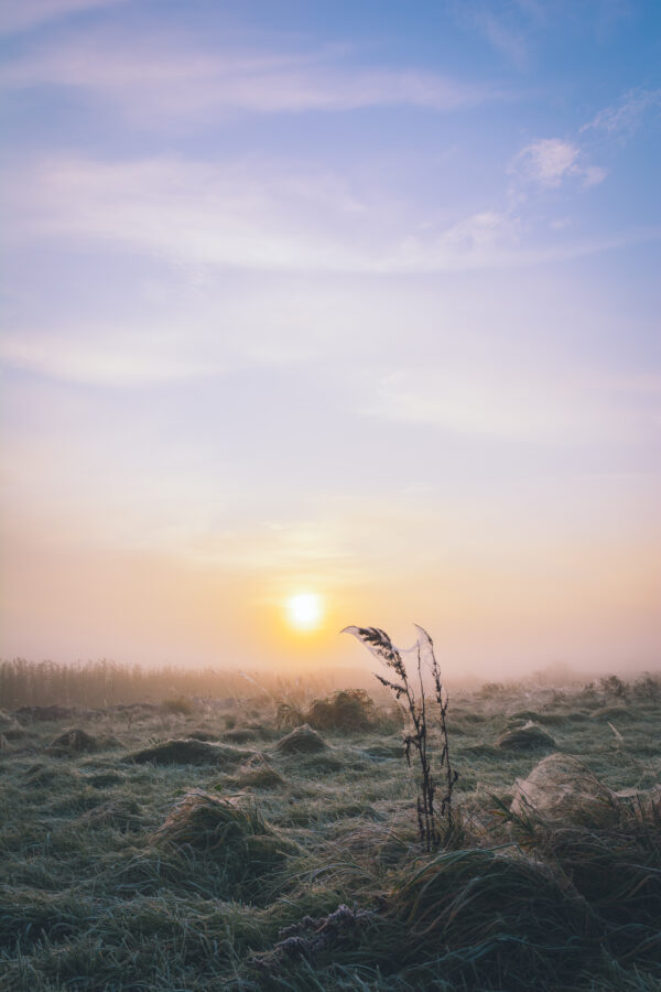 Winters land met mist