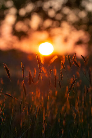 212620 - Rode zonsondergang