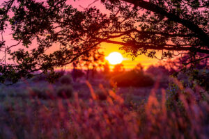 213992 - Zonsondergang rode zon