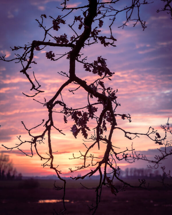 220342 - Gekleurde zonsondergang