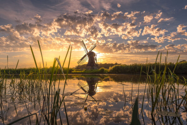 220659 - Tjongermolen