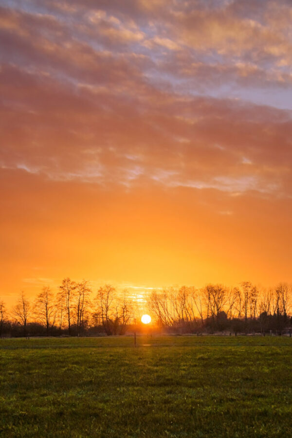 221173 - Gekleurde zonsondergang