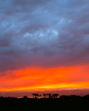 226445 - Zonsondergang Tjonger