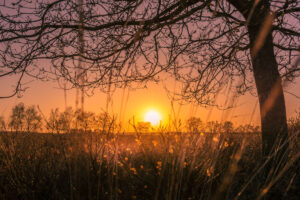 231791 - Zonsondergang