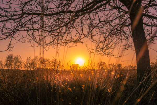 231791 - Zonsondergang