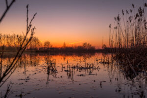 238685 - Delleboersterheide